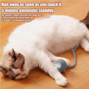 Rolling Ball Toy for Active Cats