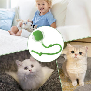 Interactive Rolling Ball Toy for Active Pets