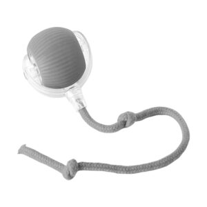 Interactive Rolling Pet Ball for Cats & Dogs