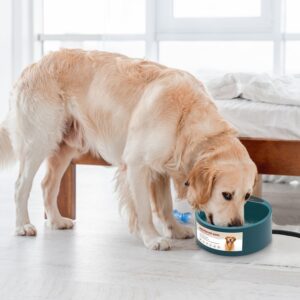 Heated Pet Water Bowl - Keeps Water Warm & Fresh