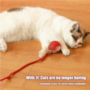Interactive Rolling Ball Toy for Active Cats & Dogs