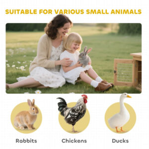 Weatherproof Hutch with Leak-Free Tray & Feeder