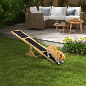 Dog Agility Seesaw - Balance Training & Exercise