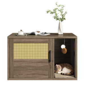 Hidden Litter Box Furniture with Odor Control