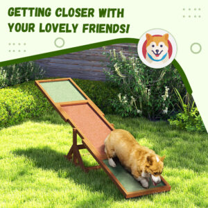 Dog Agility Seesaw - Build Balance & Confidence